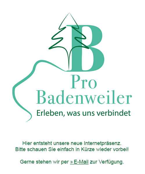 Seite wird überarbeitet